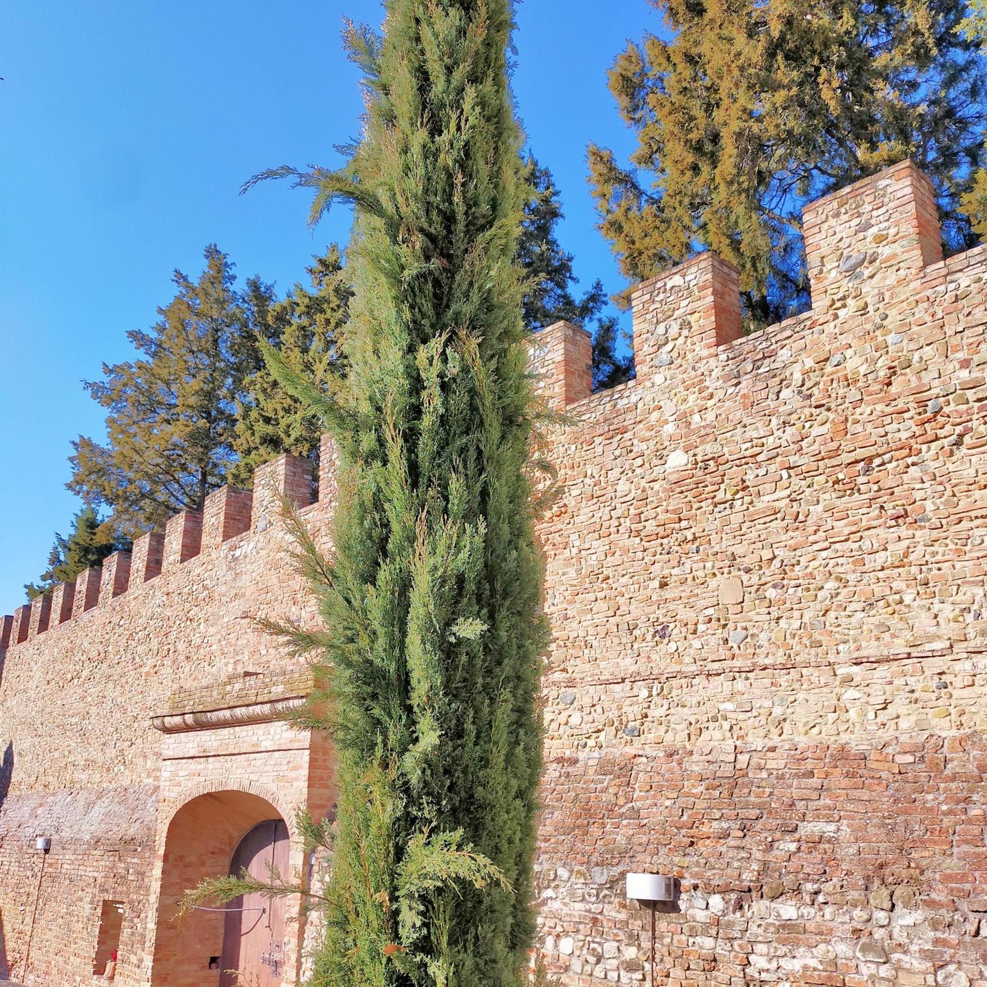 شقة Palazzo Stiozzi Ridolfi تْشيرتالدو المظهر الخارجي الصورة